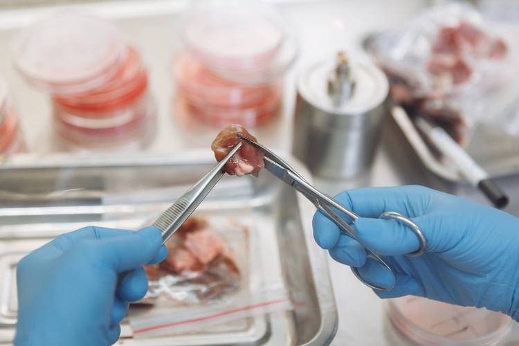 猪肉药物残留检测仪器&amp;兽药残留检测仪&amp;肉类药物残留快速检测仪